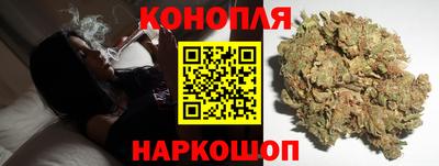 прущие грибы Пыть-Ях