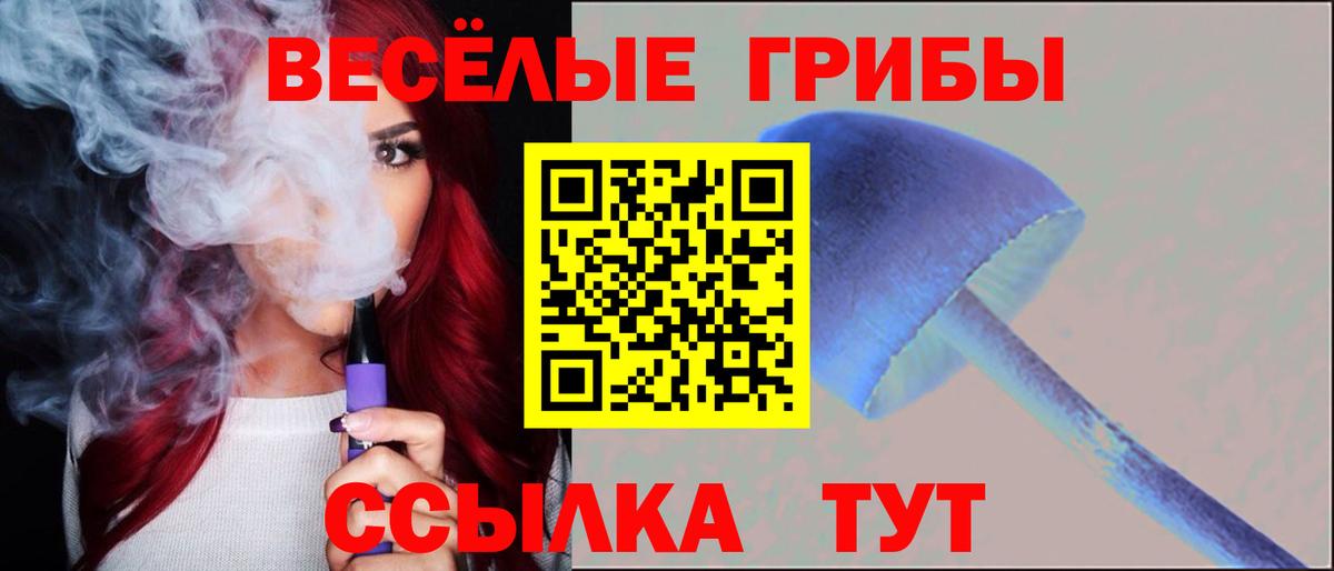 Галлюциногенные грибы мухоморы  купить наркотики сайты  Шарыпово  Вход с VPN 